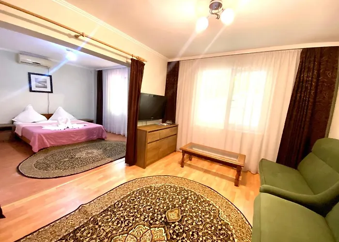 卡累利阿旅馆 3*