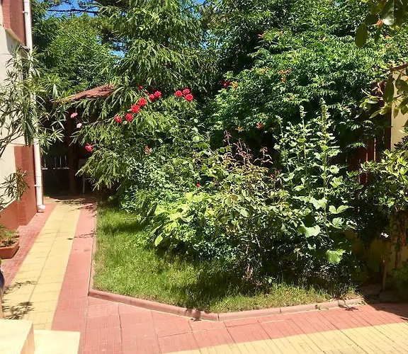 卡累利阿旅馆 招待所