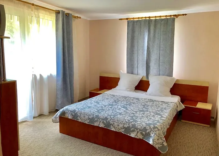 Pensiunea Karelia Guest house 3*