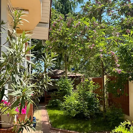 Pensiunea Karelia 3* Eforie Nord