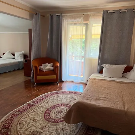 Gasthof Pensiunea Karelia 3*