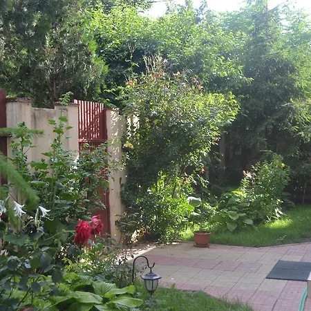 Guest house Pensiunea Karelia