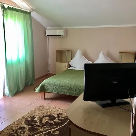卡累利阿旅馆