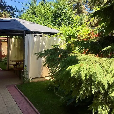 Pensiunea Karelia Gasthof