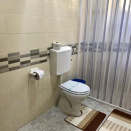 Pensiunea Karelia Guest house