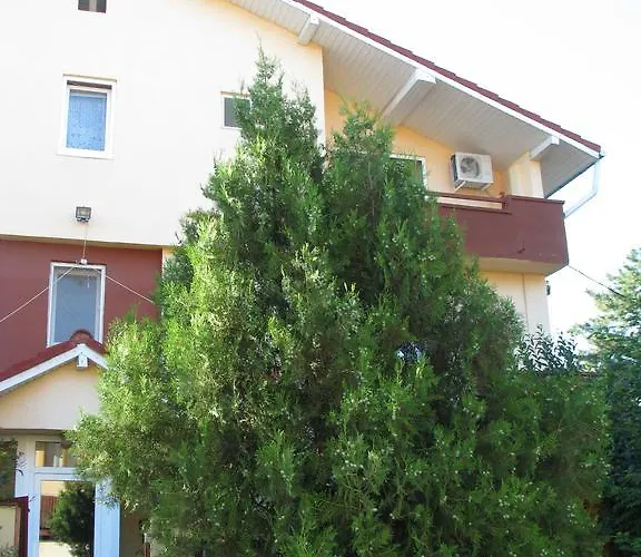 Gasthuis Pensiunea Karelia