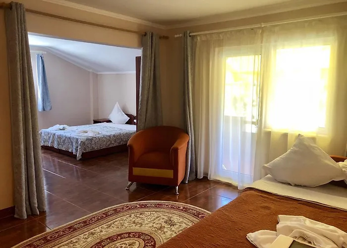 Pensiunea Karelia Gasthuis 3*