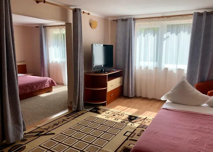 Pensiunea Karelia 3*