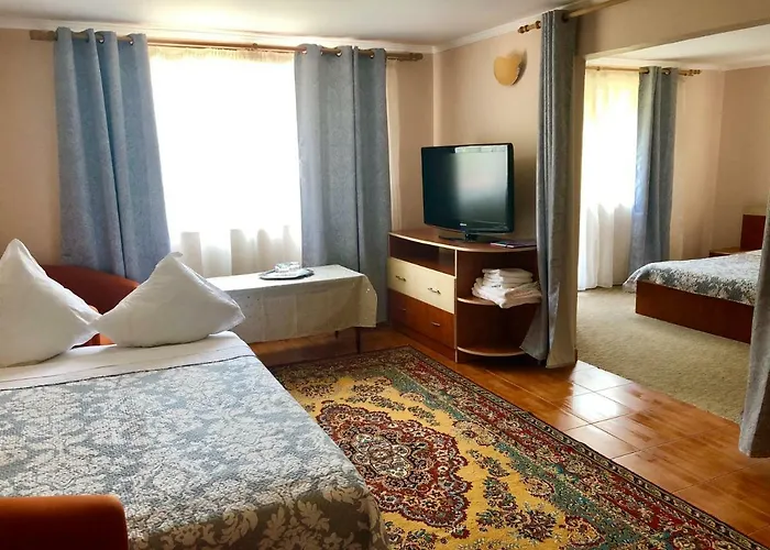 Gasthuis Pensiunea Karelia 3*